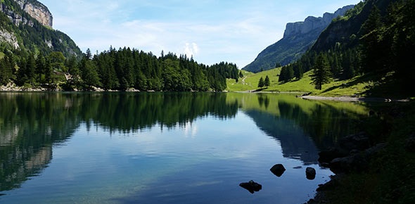 特色小鎮(zhèn)：關鍵在特色，魅力在特色，生命力在特色——特色小鎮(zhèn)國